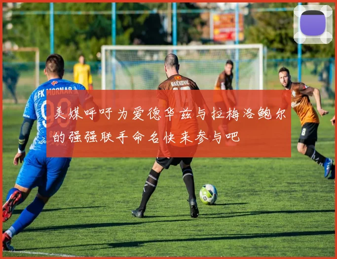 美媒呼吁为爱德华兹与拉梅洛鲍尔的强强联手命名快来参与吧